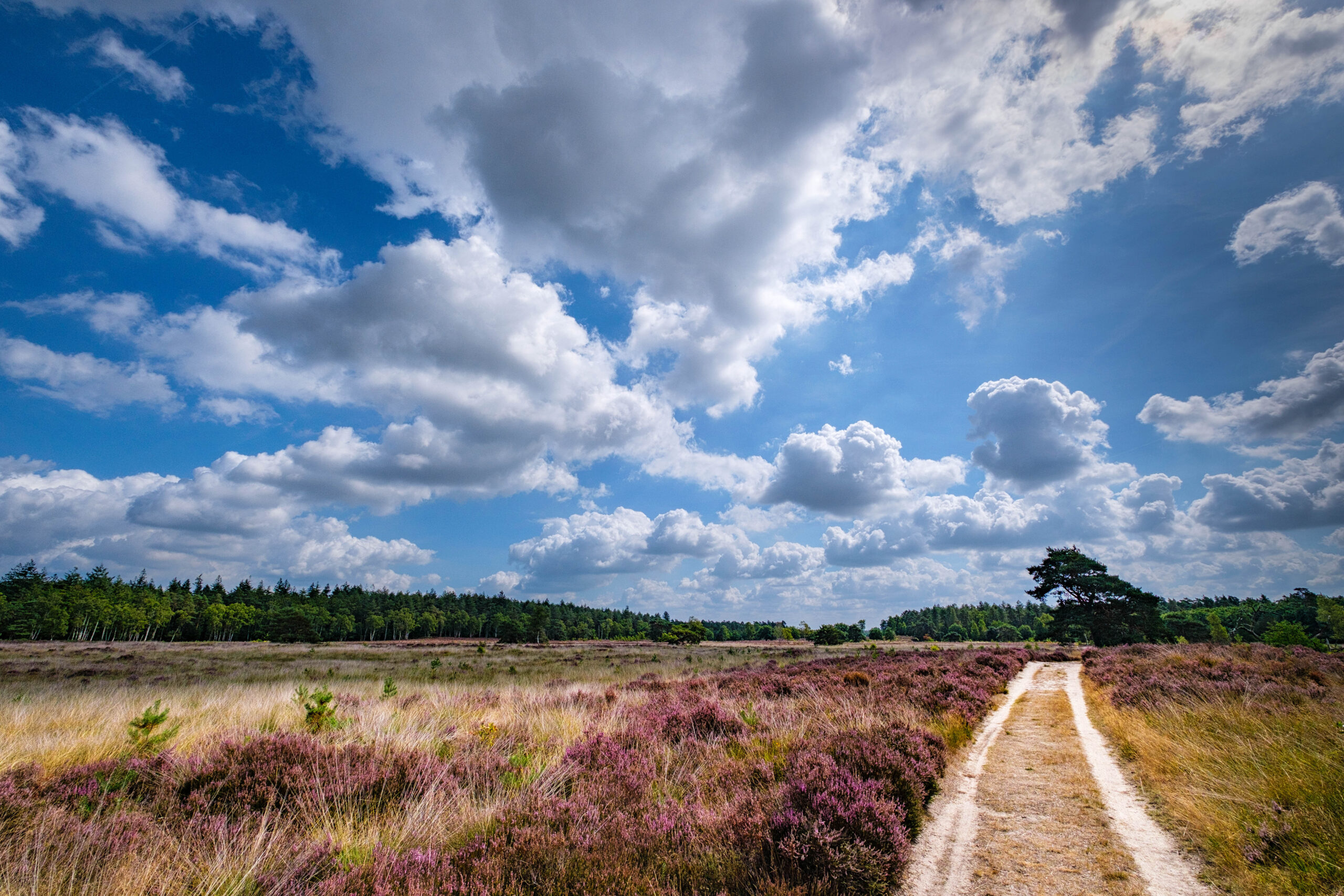 Haus verkaufen in Hanstedt