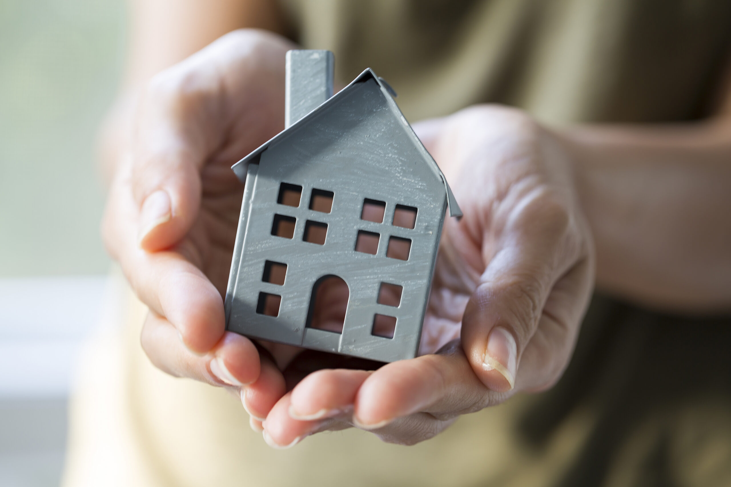Minihaus in Hand