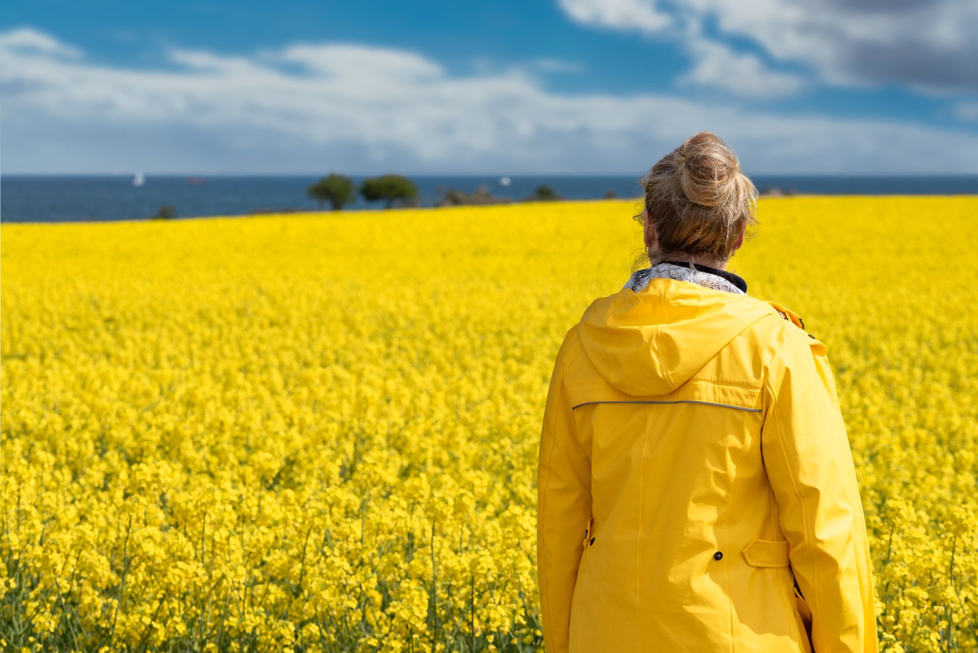 Person in gelbem Regenmantel im Blumenfeld blickt aufs Meer.