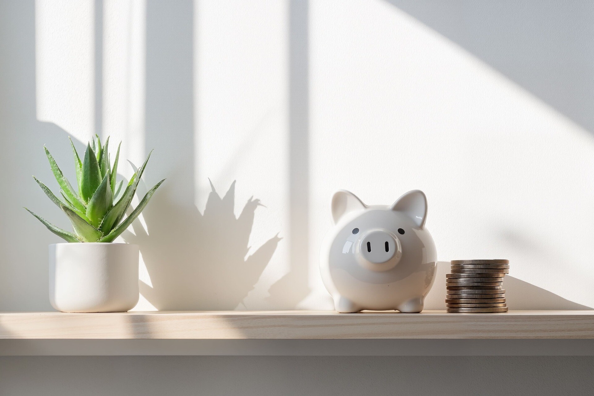 Sparschwein steht auf einem Tisch neben einem Münzstapel und einer Grünpflanze.
