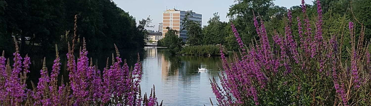 Teich im Park in Gießen