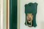 "Wunderschöne und helle Altbauwohnung mit Südbalkon am Stadtpark Steglitz, frei" - Detail