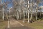 "Sanierte, freie Altbau - Gewerbeeinheit am Mauerpark" - Birkenwäldchen im Mauerpark