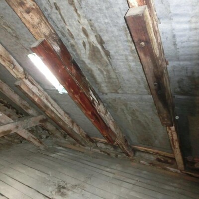 330 m² brutto Fläche! Dachgeschoßrohling in bester Lage direkt am Herrfurthplatz -  Vorschau 9