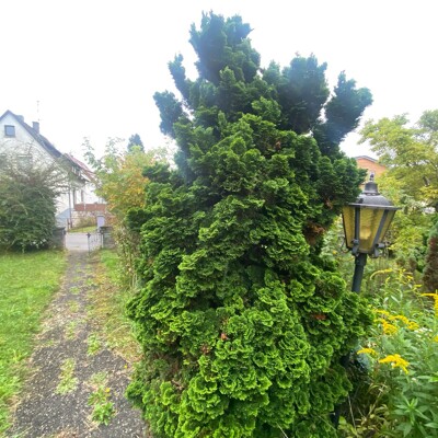 Baugrundstück in guter ruhiger Lage in Überlingen am Bodensee -  Vorschau 11