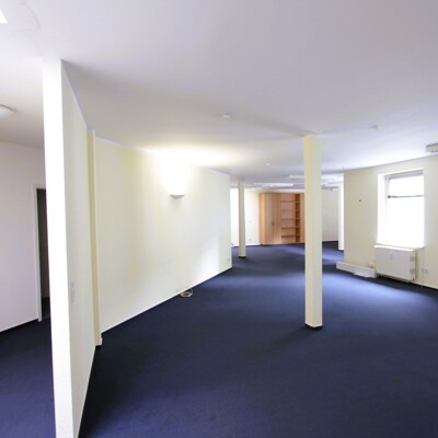 Großzügiges helles Büro im Hinterhof der Zeppelinstraße -  Vorschau 5