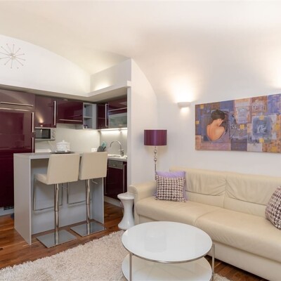 Möblierte 2-Zimmer-Erdgeschosswohnung mit 50 m² Gartenterrasse zu verkaufen -  Vorschau 3