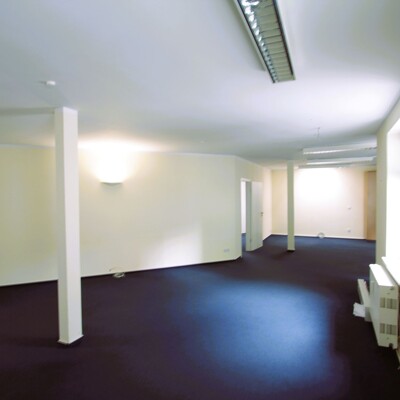 Großzügiges helles Büro im Hinterhof der Zeppelinstraße -  Vorschau 7