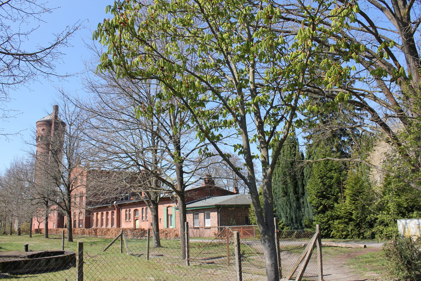 Einzigartiges Energiespar-Reihenendhaus auf Hermannswerder von Wasser umgeben - Bild 32 Einzigartiges Energiespar-Reihenendhaus auf Hermannswerder von Wasser umgeben - Bild 32