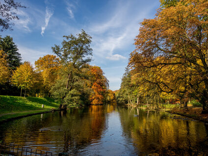 Fluss im Herbst