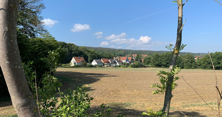 Wohnimmobilien in Barsinghausen
