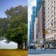 Selektive unbenannt EZB senkt den Leitzins: Werden Immobilien jetzt erschwinglicher?  